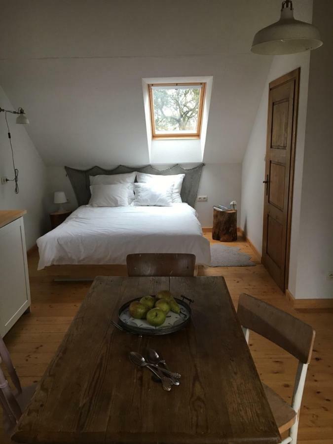 Mamrowisko Holiday home *